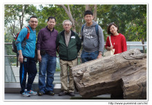 遊覽荃灣如心廣場內木化石公園。